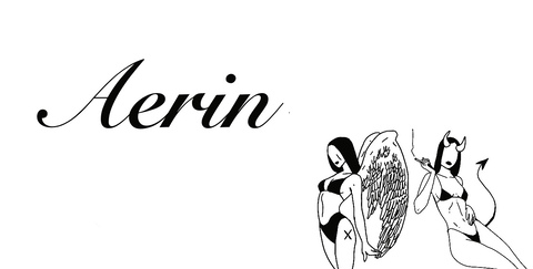 Header of aerin2