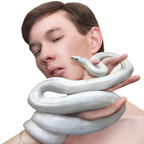 Download alecsandr_zai OnlyFans videos and photos for free 

 profile picture