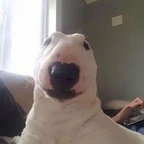 amaaterasuu (January) OnlyFans content 

 profile picture