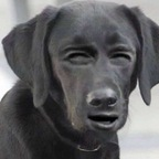 Onlyfans leaked baddievirgo 

 profile picture