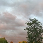 baileymoore (bailey) free OnlyFans Leaks 

 profile picture