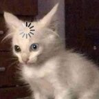 Batu (@batux) Leaks OnlyFans 

 profile picture