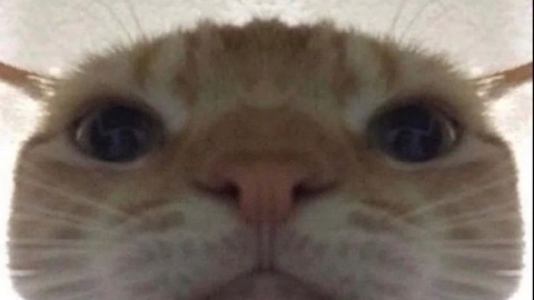 Header of bbbigtea