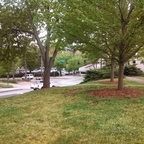 bdlvr (BDLVR) free OnlyFans Leaked Videos and Pictures 

 profile picture