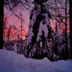 bi-cocknojzl (Bicocknojzl) free OnlyFans Leaked Pictures & Videos 

 profile picture