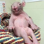 blinked (Saintly) free OnlyFans Leaked Pictures and Videos 

 profile picture