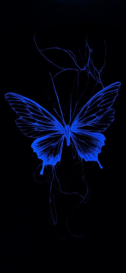 Header of blubutterflies