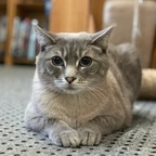 Download bubu91 OnlyFans videos and photos for free 

 profile picture