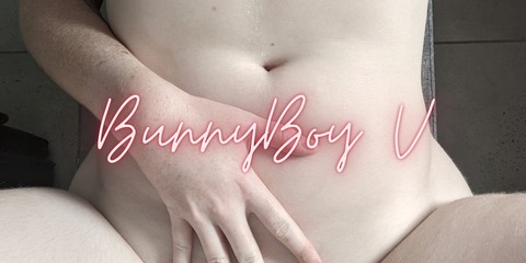 Header of bunnyboyv