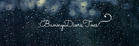 Header of bunnydiorstoes