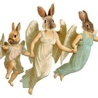 bunnygorl (i know the law baby) OnlyFans Leaks 

 profile picture