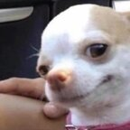 bunnyxx (Plugbunny) free OnlyFans content 

 profile picture