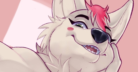 Header of bustypuppy