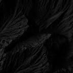 cat_damage OnlyFans Leaked Photos and Videos 

 profile picture