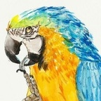 chennie (N) OnlyFans Leaks 

 profile picture