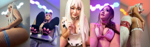 Header of cinnanicos