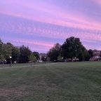 crybabythugg (lil lady) free OnlyFans content 

 profile picture