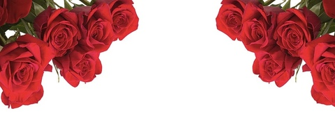 Header of daphnejrose