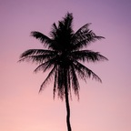 Free access to @dawny.love.0 Leaks OnlyFans 

 profile picture