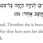 dontlookatme613 (jew bush) OnlyFans Leaked Content 

 profile picture