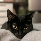 Download fraidyray OnlyFans content for free 

 profile picture