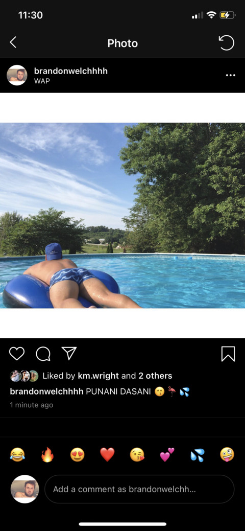 Header of gainz.dboy