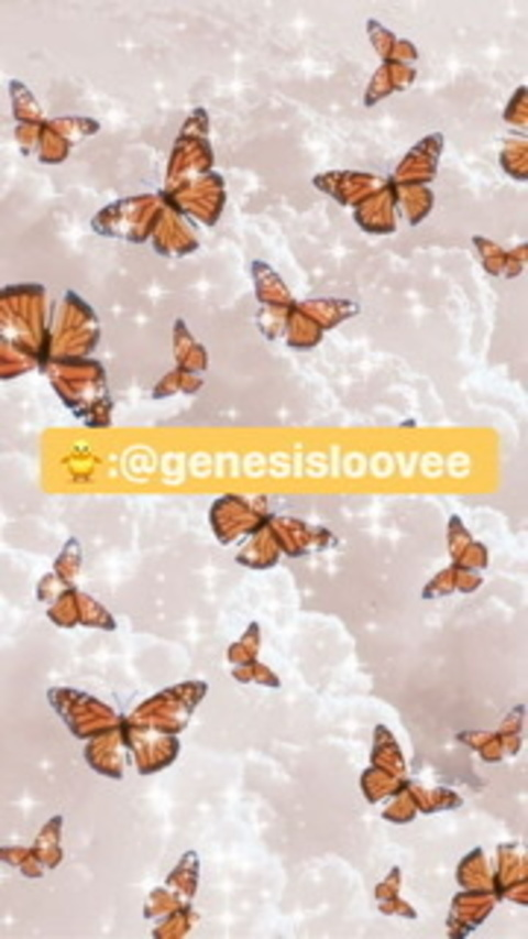 Header of genesisloovee