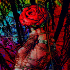 Onlyfans leaks heartlessinlove 

 profile picture