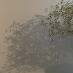 Free access to @ienfelloryy Leaked OnlyFans 

 profile picture