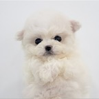 u167920764 @jehehebsjdnw Leaked OnlyFans 

 profile picture