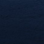 Download kira_lotoss_video OnlyFans content for free 

 profile picture