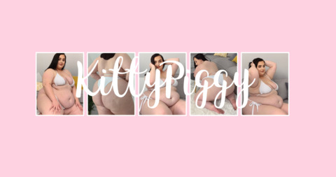 Header of kittypiggy