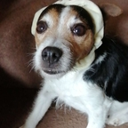 Luna Lux @lunalovelux Leaks OnlyFans 

 profile picture