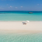 maldives (PhotographyMaldive) free OnlyFans Leaked Content 

 profile picture