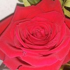 Download mariabellucci14 OnlyFans videos and photos for free 

 profile picture