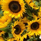 Free access to maurishka Leaked OnlyFans 

 profile picture