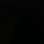 Onlyfans leaked maybe 

 profile picture