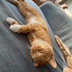 Margaret (@melamori) Leak OnlyFans 

 profile picture