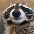 Onlyfans leaks mousetree 

 profile picture