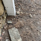 Download natacha33 OnlyFans content for free 

 profile picture