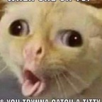 Free access to (@nickxoxo) Leak OnlyFans 

 profile picture