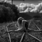 openheartscanunite OnlyFans Leak 

 profile picture