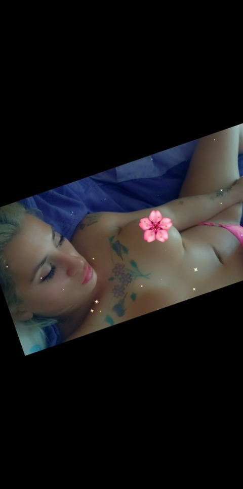 Header of palomaonly