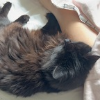 peachbloss (@peachbloss) Leak OnlyFans 

 profile picture