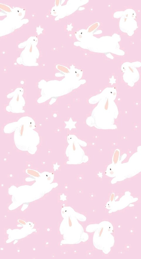 Header of piabunny