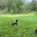 Free access to (piperr.pup) Leak OnlyFans 

 profile picture