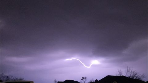 Header of pocketkitten