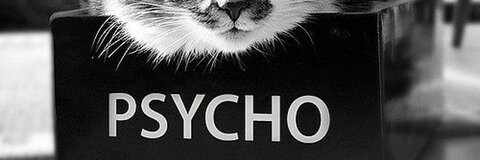 Header of psychokitty0415