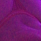 Onlyfans leaks pussypoppinkween420 

 profile picture