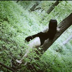 ravenreigns OnlyFans Leak 

 profile picture